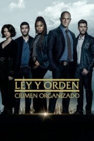 Ley y orden: Crimen organizado: Temporada 3
