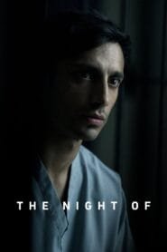 The Night Of: Temporada 1