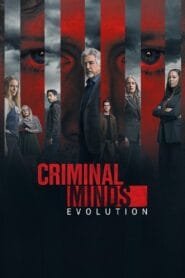 Mentes criminales: Temporada 17