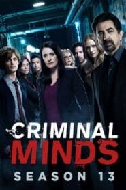 Mentes criminales: Temporada 13