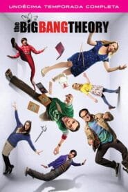 Big Bang: Temporada 11
