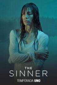 The Sinner: Temporada 1