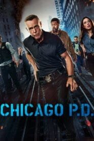 Chicago P.D.: Temporada 12