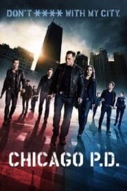 Chicago P.D.: Temporada 1