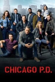 Chicago P.D.: Temporada 3