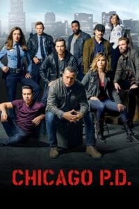 Chicago P.D.: Temporada 3